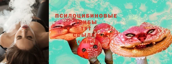 соль курить ск Алзамай