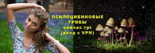 соль курить ск Алзамай